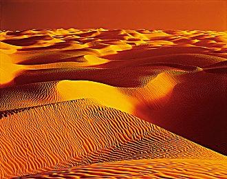 微软推出《尼克儿童频道全明星大乱斗》XSX限定主机  非卖品